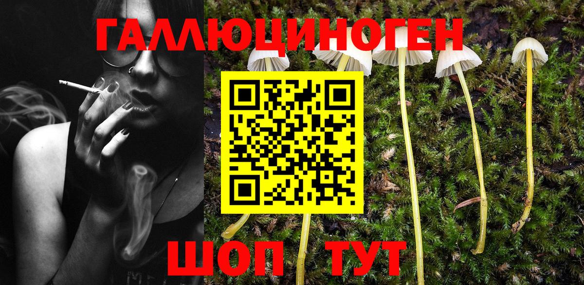 Галлюциногенные грибы прущие грибы Магадан