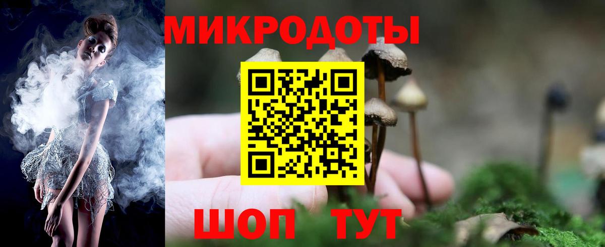 Галлюциногенные грибы Cubensis  Вход с VPN  Магадан 
